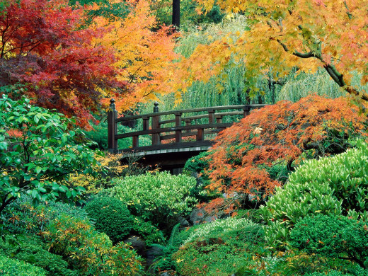 28251 (a): :1600x1200